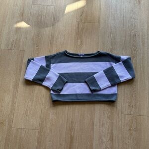 Grey and purple striped cropped sweater